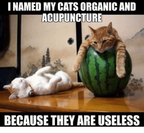 -organic-and-acupuncture-because-they-are-15005653.png