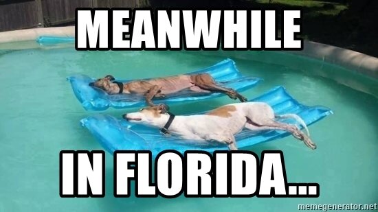 meanwhile-in-florida.jpg