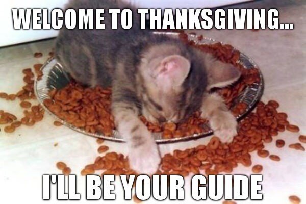 animal-welcome-thanksgiving-ill-be-guide.jpg