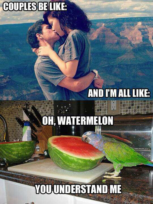 me-Couples-be-like-oh-watermelon-you-understand-me.jpg
