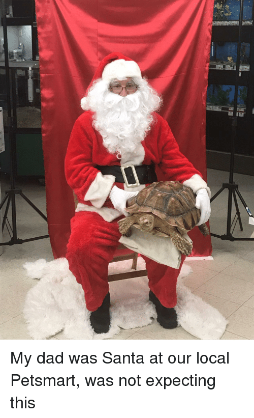 d-was-santa-at-our-local-petsmart-was-not-41949413.png