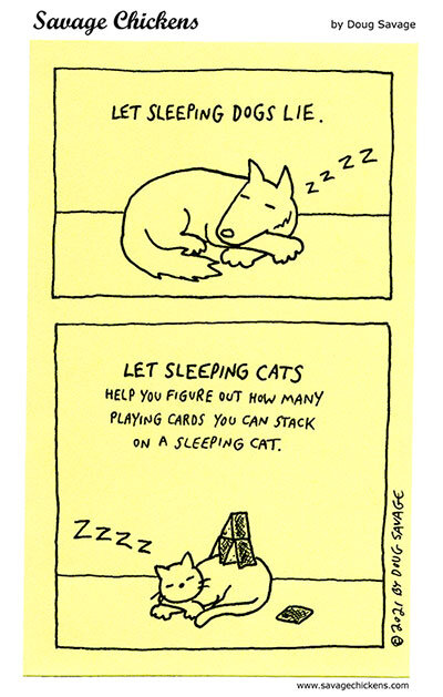 sleeping-dogs-and-cats.jpg