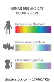 human-dog-cat-vision-spectrum-260nw-1794614926.jpg