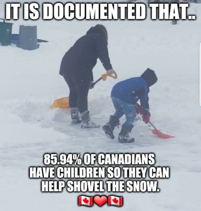 canada-memes-2022-620cf2b3ad54d__700.jpg