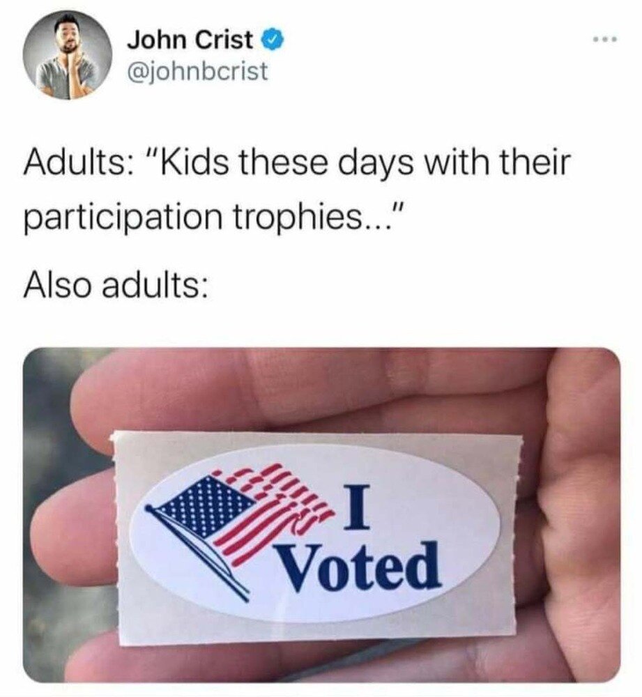 adult-participation-vote.jpg