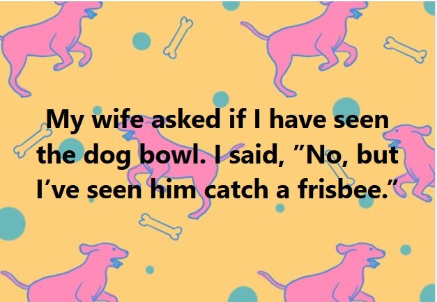 dog-bowl.jpg