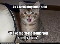 funny-pictures-quote-un-quote-kitteh-ghandi-cat.jpg