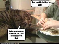 funny-pictures-red-meat-is-bad-for-you.jpg