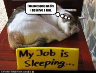 funny-pictures-im-awesome-at-dis-i-deserve-a-raiz.jpg