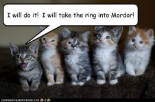 funny-pictures-i-will-do-it-i-will-take-the-ring-into-mordor.jpg