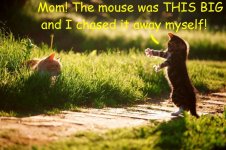 bigmouse-t.jpg