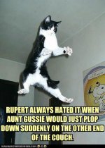 funny-pictures-rupert-always-hated-it-when-aunt-gussie-would-just-plop-down-suddenly-on-the-othe.jpg