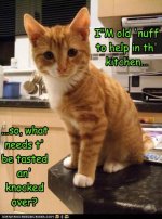 funny-pictures-mothers-little-helper.jpg