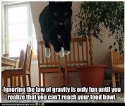 funny-pictures-ignoring-the-law-of-gravity-is-only-fun-until-you-realize-that-you-cant-reach-you.jpg