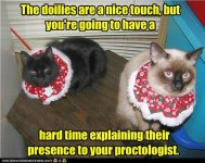 funny-pictures-wait-what.jpg
