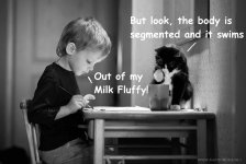sciencecat.jpg