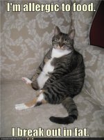 funny-pictures-im-allergic-to-food-i-break-out-in-fat.jpg