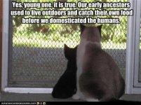 funny-pictures-progress.jpg
