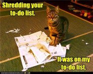 funny-pictures-shredding-your-to-do-list1.jpg