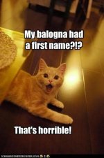 funny-pictures-my-balogna-had-a-first-name.jpg