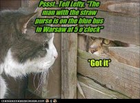 funny-pictures-pssst-tell-lefty-the-man-with-the-straw-purse-is-on-the-blue-bus-in-warsaw-at-ocl.jpg