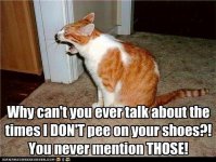 funny-pictures-why-cant-you-ever-talk-about-the-times-i-dont-pee-on-your-shoes-you-never-mention.jpg
