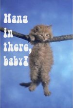 hang_in_there.jpg