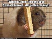 funny-pictures-when-he-opens-the-cage-door-ill-knock-him-out-you-get-his-car-keys.jpg