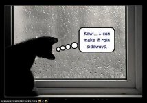 funny-pictures-kewl-i-can-make-it-rain-sideways.jpg