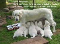 moms.jpg