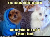 funny-pictures-ah-sibling-rivalry.jpg