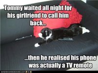 funny-pictures-tommy-waited-all-night-for-his-girlfriend-to-call-him-back.jpg