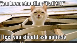 funny-pictures-you-keep-shouting-call-i-feel-you-should-ask-politely.jpg