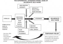 The Experiential Avoidance Model of Deliberate Self-Harm.jpg