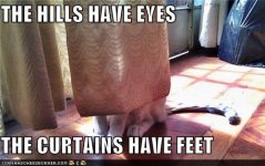 funny-pictures-the-hills-have-eyes-the-curtains-have-feet.jpg