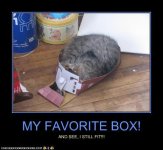 funny-pictures-my-favorite-box.jpg