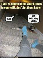 funny-pictures-if-youre-gonna-name-your-kittehs-in-your-will-dont-let-them-know.jpg