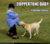 funny-dog-pictures-coppertone-canadian.jpg