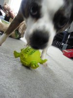 DSCF2788.jpg