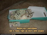 funny-pictures-money-isnt-everything.jpg