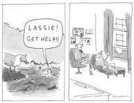 lassie+get+help.jpg