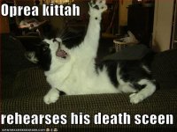 funny-pictures-opera-cat.jpg