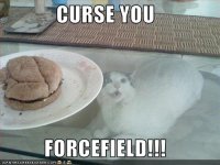 funny-pictures-cat-curses-the-forcefield-of-the-cheeseburger1.jpg