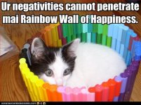 funny-pictures-cat-in-rainbow-marker-fortress.jpg