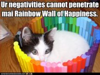 funny-pictures-cat-in-rainbow-marker-fortress2.jpg