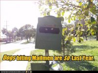 funny-pictures-dogs-biting-mailmen.jpg