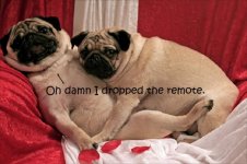 remote.jpg