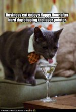 funny-pictures-business-cat-enjoys-happy-hour-after-hard-day-chasing-the-laser-pointer.jpg