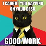 funny-pictures-memecats-business-cat-needs-you-perpetually-well-rested.jpg