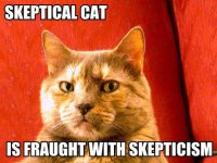 lol-cats_skeptical-cat-is-fraught-with-skept.jpg